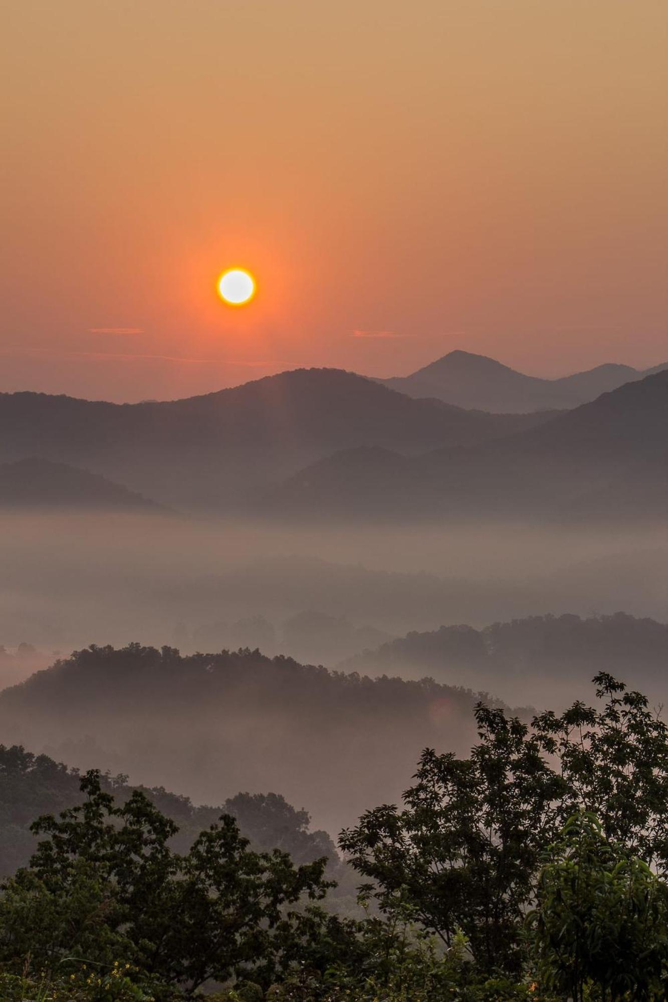 Romantic Mtn Cabin Hot Tub & Jacuzzi Views 세비어빌 외부 사진